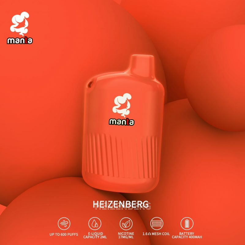 POCKET BOX HeizeBerg Disposable Vape
